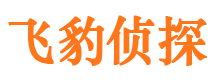 肃北市私家侦探